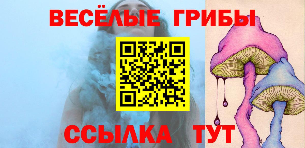 Саянск  Псилоцибиновые грибы Cubensis  Вход с VPN  Галлюциногенные грибы ЛСД 