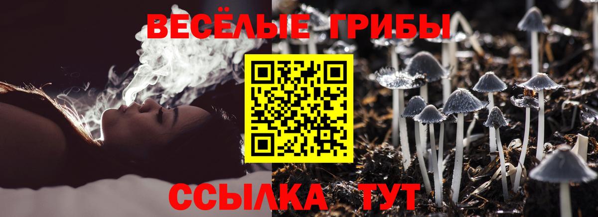 Галлюциногенные грибы мицелий Саянск